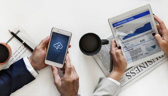 中国米兰体育-中国篮球联赛数据分析辅助战术决策研究,中国篮协大数据